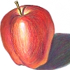 apple