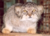 [User Picture Icon]