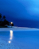 [User Picture Icon]