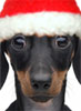 [User Picture Icon]