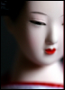 [User Picture Icon]