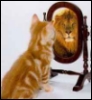 ashpi [userpic]