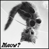 [User Picture Icon]