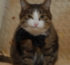 [User Picture Icon]