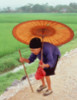 [User Picture Icon]