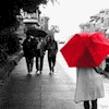 [User Picture Icon]