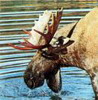 [User Picture Icon]