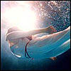 [User Picture Icon]