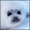 [User Picture Icon]