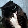 [User Picture Icon]