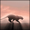 [User Picture Icon]