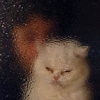 imp_73251
