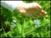 [User Picture Icon]