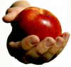 [User Picture Icon]