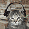 [User Picture Icon]