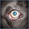 [User Picture Icon]