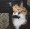 [User Picture Icon]