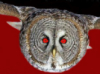 [User Picture Icon]