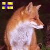 [User Picture Icon]