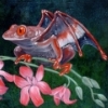 imp_123498: varlė skraiduolė