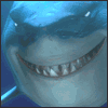 [User Picture Icon]