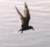 [User Picture Icon]
