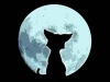 [User Picture Icon]
