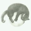 imp_17411