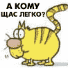 imp_22031