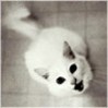 [User Picture Icon]