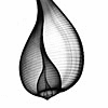 [User Picture Icon]