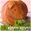 imp_30634