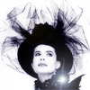 [User Picture Icon]