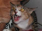 [User Picture Icon]