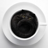 [User Picture Icon]