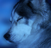 [User Picture Icon]