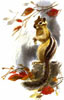 burunduk [userpic]