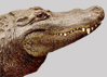 [User Picture Icon]