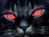 [User Picture Icon]