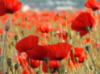 [User Picture Icon]