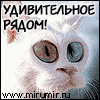 [User Picture Icon]