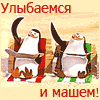 imp_23234: пИнгвины