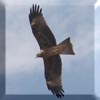 [User Picture Icon]