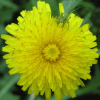 [User Picture Icon]
