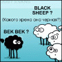 [User Picture Icon]