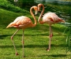 [User Picture Icon]
