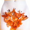 [User Picture Icon]