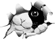 imp_105513: кота