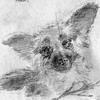 [User Picture Icon]